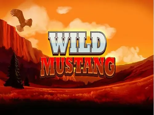 Wild Mustang